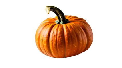 Obraz premium a pumpkin sitting alone on a white background