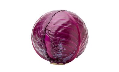 Fototapeta premium Purple cabbage set against a white backdrop