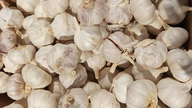Close up photo image of fresh garlic arrange neatly grocery store on rack background horizontal hd 8k resolution photography poster banner background perfect for campaigns