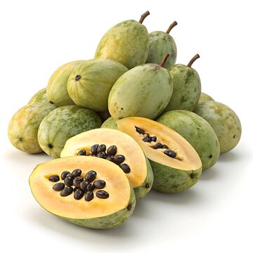 Asimina triloba Food