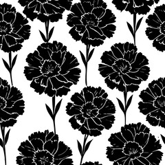 Chic Black and White Floral Pattern Art