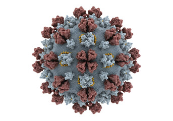3D Medical Illustration of Adeno-Associated Virus (AAV), Spherical Icosahedral Capsid, Surface Proteins Detailed, High-Resolution Scientific Rendering, Isolated on White