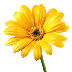 Obraz premium Close-up of a bright yellow flower
