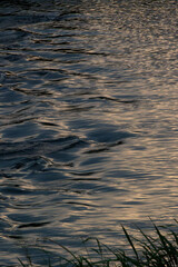 유선형의 반사되는 빛과 물결