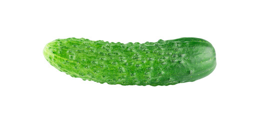 Green cucumber isolated on transparent background. Png format	
