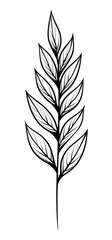 Obraz premium Black and white graphic of a stylized plant stem with delicate leaves. Detailed line art with small dots outlining the leaves, creating a textured effect. Vertical composition