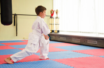 Karate boy doing stretching at workout.Child in kimono. Martial arts. 極真会(Karate Kyokushin)	
