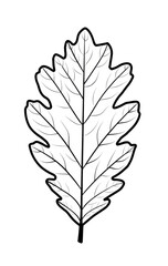 Detailed outline of an oak leaf (1)