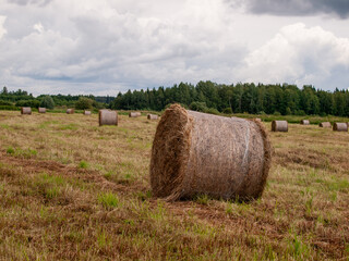 Hay bales on a harvested field under cloudy sky in rural countryside landscape. Agriculture and farming concept.