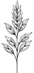 Fototapeta premium Ornate, stylized plant in black and white. Delicate, flowing lines create feathery leaves and a central stem, accented with small dots