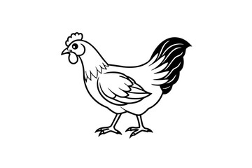 chicken