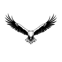 Fototapeta premium Majestic eagle vector illustration – perfect for logos, branding, t-shirts, and creative designs
