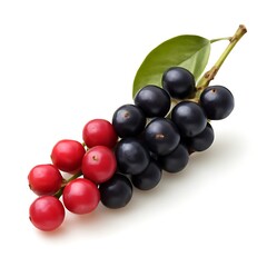 Fototapeta premium bignay Food