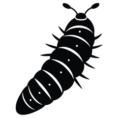 insect vector