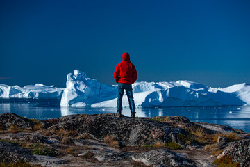 Summer Iceberg Contemplation