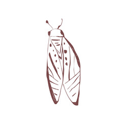 Hand drawn moth with abstract wings insect line art for boho tattoo sticker stationery poster and vintage decoration Vector illustration