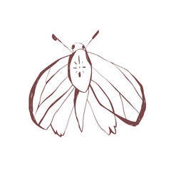 Halloween inspired moth with abstract wings insect line art for spooky sticker tattoo stationery poster Vector illustration