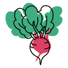 Color stroke abstract beet root