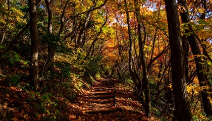 A winding path through a vibrant autumnal forest, showcasing a colorful array of foliage and dappled sunlight filtering through the trees.