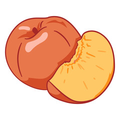 Peach illustration food