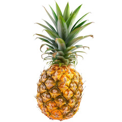 Close-up of a pineapple (8)