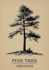 Arkansas State Tree Pine tree Wall art Poster, Illustration For Wall Hanging Home Decoration Vintage  Wall Art, Us State Poster