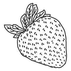 Strawberry hand drawn element