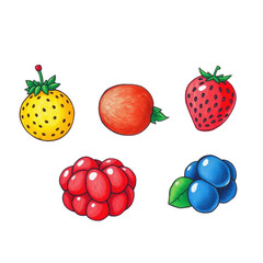 Colorful hand-drawn fruits including strawberry, blueberry, and raspberry  