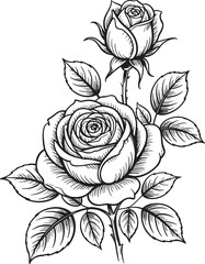 Elegant Rose Drawing with Bud and Leaves Black and White Illustration for Graphic Design Projects