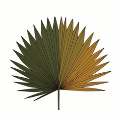 A beautifully stylized palm leaf illustration featuring a striking split design with lush green and warm golden hues, perfect for tropical and exotic themes.