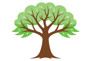 Fototapeta premium Vector illustration of a deciduous tree in autumn colors