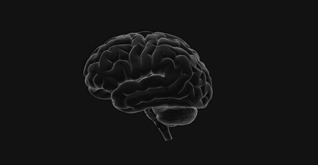 A detailed grayscale illustration of the human brain, showcasing its complex structure