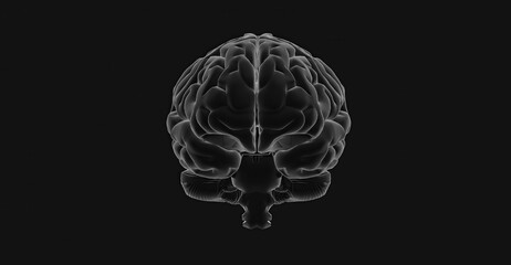 A detailed 3D model of a human brain, showcasing its intricate structure and complexity