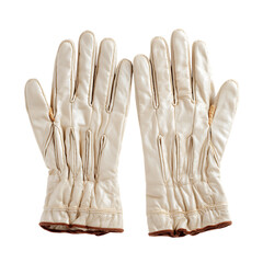 Obraz premium Gloves