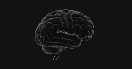 A grayscale image of a human brain, perfect for medical or scientific use. The intricate details of the brain's structure are clearly visible