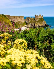 Coastal castle ruins, vibrant flora