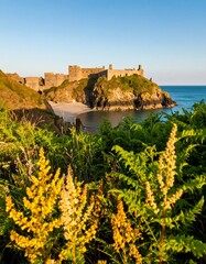 Coastal Castle View Through Vegetation