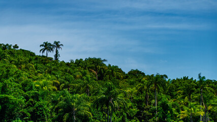 Natureza Paisagem Mata-Atlântica Mar Oceano Paraty Brasil Verde Montanha Barco Cachoeira Biodiversidade Costa Preservação Ecoturismo Trilha Serra Reflexo Água-Cristalina Ilhas Vegetação Selva Fauna © Pedro