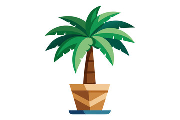 Obraz premium Vibrant potted palm tree brings tropical vibes and natural beauty to any design project, evoking sunshine and relaxation.