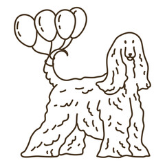 Afghan hound stroke birthday dog