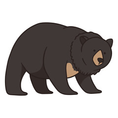 American black bear color stroke