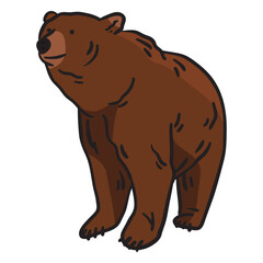 Bear animal brown illustration