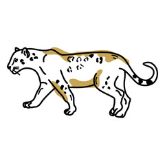 Fototapeta premium Brown leopard color stroke