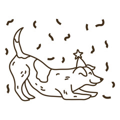 Cheerful dog birthday celebration