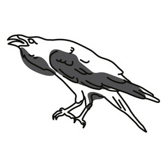 Color stroke semi colored raven
