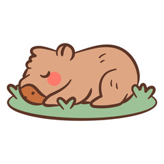 Cute sleeping wombat illustration