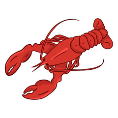 Lobster claw antenna tail illustration
