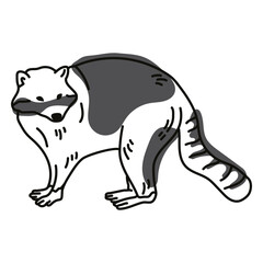 Raccoon animal stroke