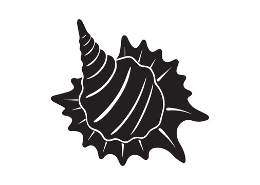 A murex shell silhouette black vector white background