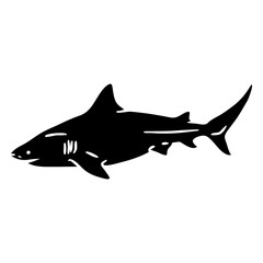 White shark cut out